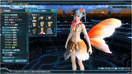 Accessory Slot 4 PSo2