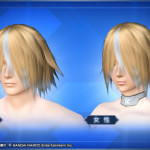デゼルミディアムヘア Dezel Medium Hair