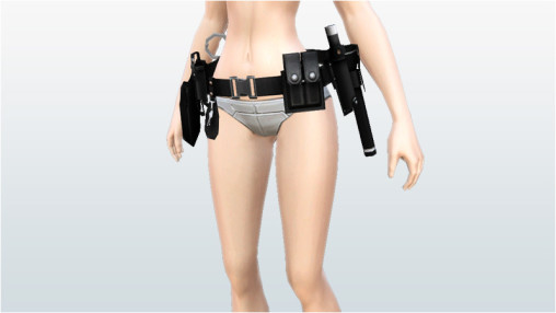 Accessory Selection 1