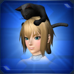 頭乗りクロネコ Head Riding Black Cat