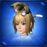 頭乗りキジネコ Head Riding Tabby Cat