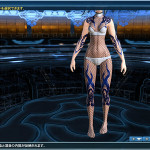2 Body Paints PSO2
