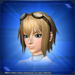 フィーゴーグル Fie Goggles