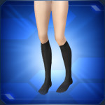 天星学院ソックス Tensei Academy Socks