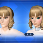 エレガントシニヨン Elegant Chignon