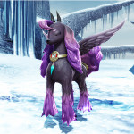 Viola Pet