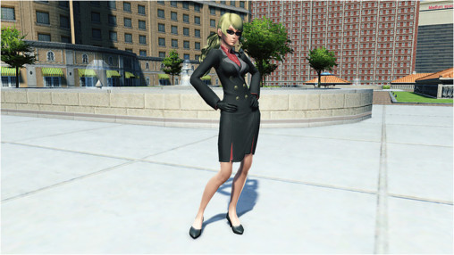 Direct Skirt Image