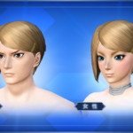 髪留めアシメショートBarrette Asymmetrical Short