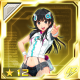 Salus Punisher Chip