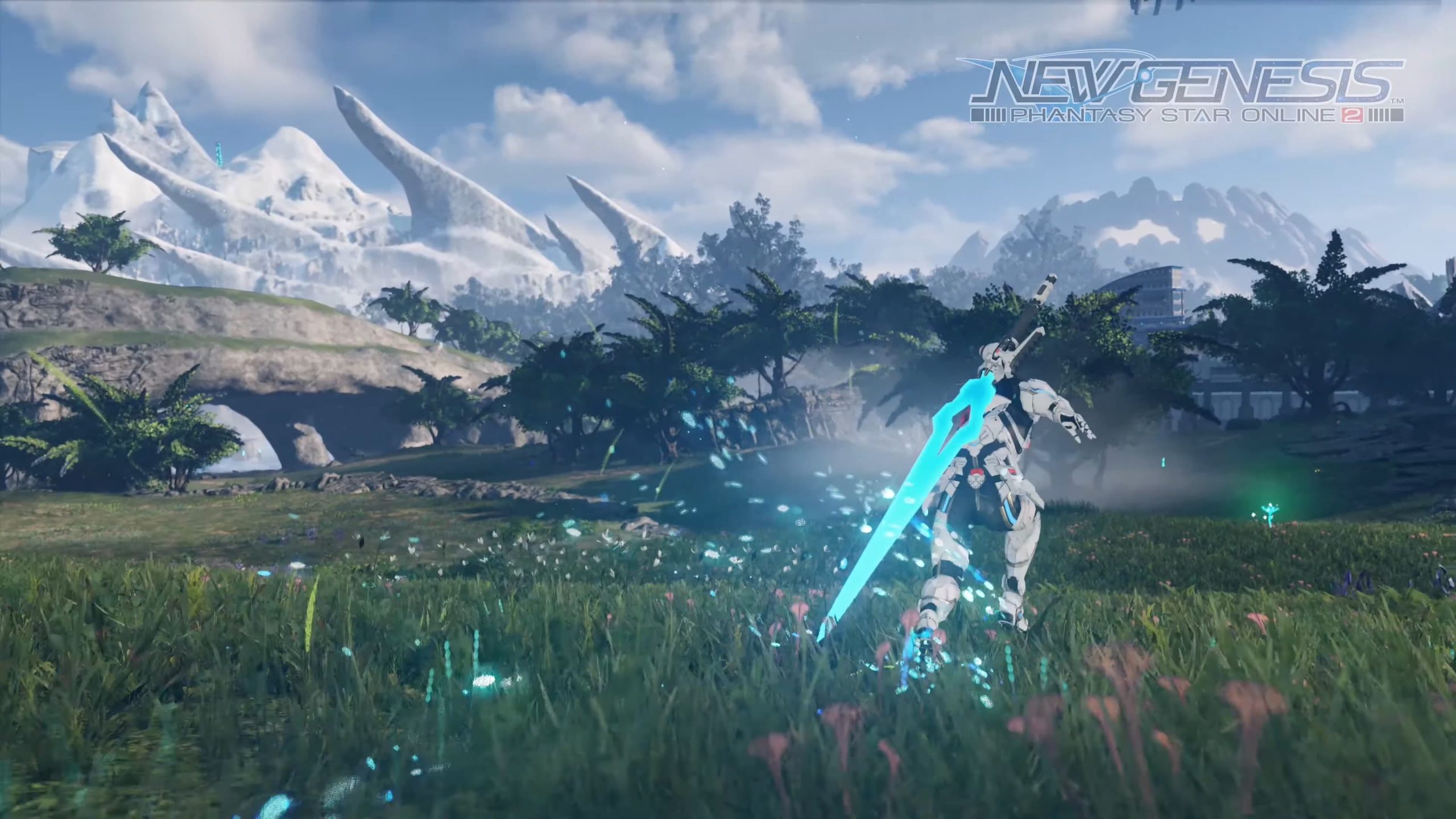 pso2 character creation accessories